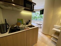 Mount Elizabeth Link (D9), Condominium #606374691